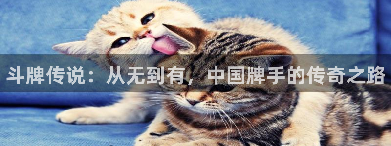 汗汗漫画弹窗：斗牌传说：从无到有，中国牌手的传奇之路