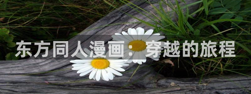 汗汗漫画网址：东方同人漫画：穿越的旅程