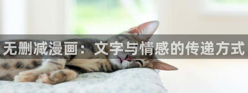 汗汗漫画sss正式：无删减漫画：文字与情感的传递方式