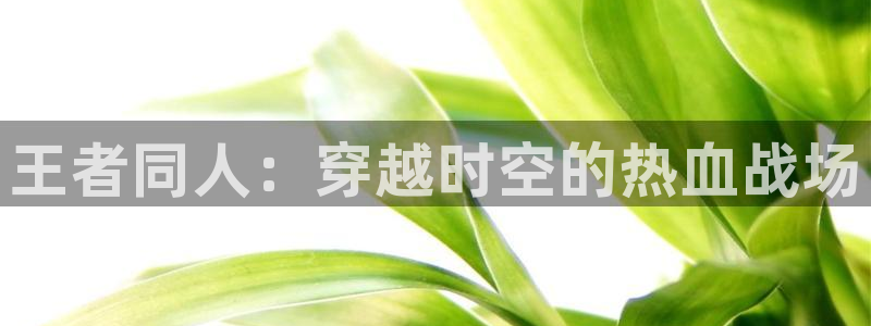 汗汗漫画书：王者同人：穿越时空的热血战场