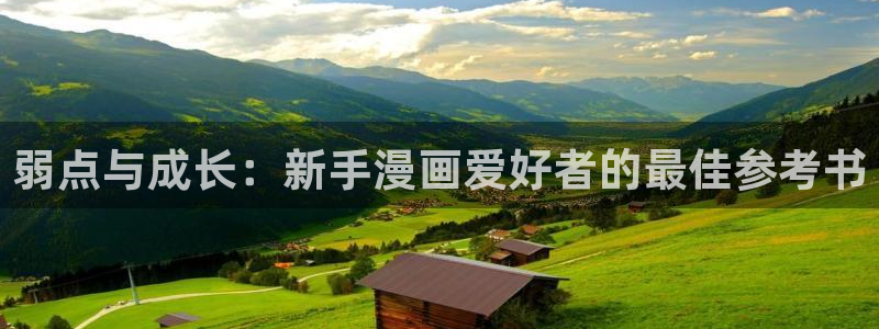 汗汗汗漫画：弱点与成长：新手漫画爱好者的最佳参考书
