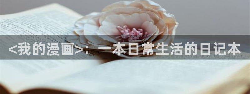 汗汗漫画sss.：<我的漫画>：一本日常生活的日记本