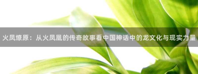 歪歪汗汗漫画网站：火凤燎原：从火凤凰的传奇故事看中国神话中的龙文化与现实力量