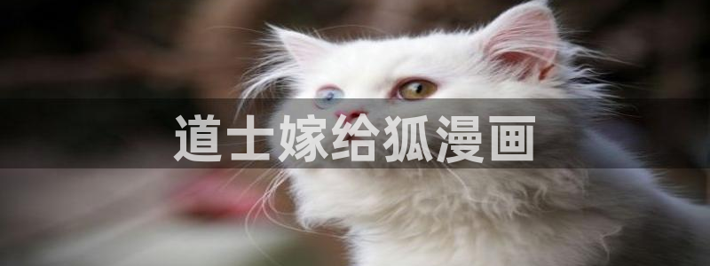 羞羞漫画歪歪汗汗汗漫画原神：道士嫁给狐漫画