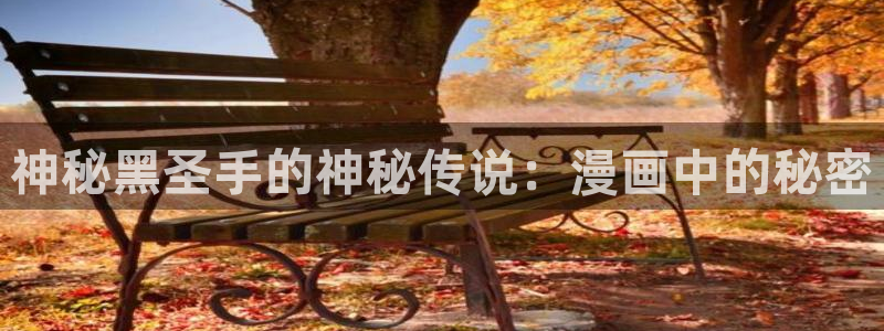 汗汗漫画主页：神秘黑圣手的神秘传说：漫画中的秘密